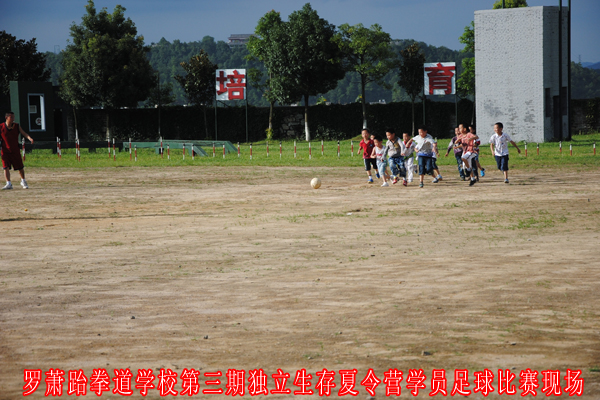 2012910182144227.jpg