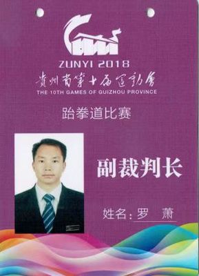 贵州省第十届运动会副裁判长