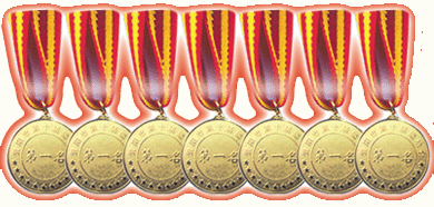 市级比赛所获成绩