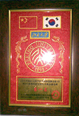 国际级比赛所获成绩