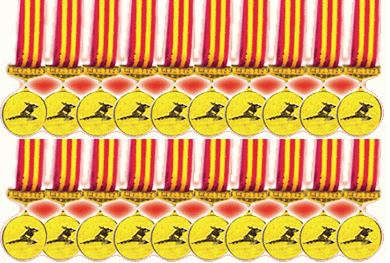 省级比赛所获成绩